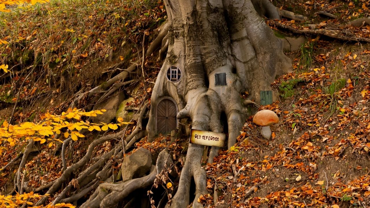 Casa de árbol de duende
